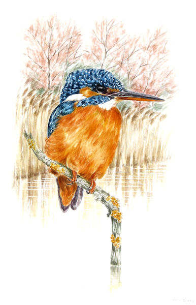 The fisher king
